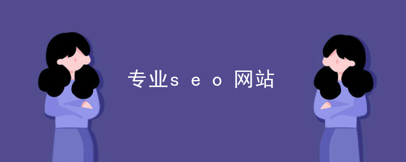 株洲专业seo网站